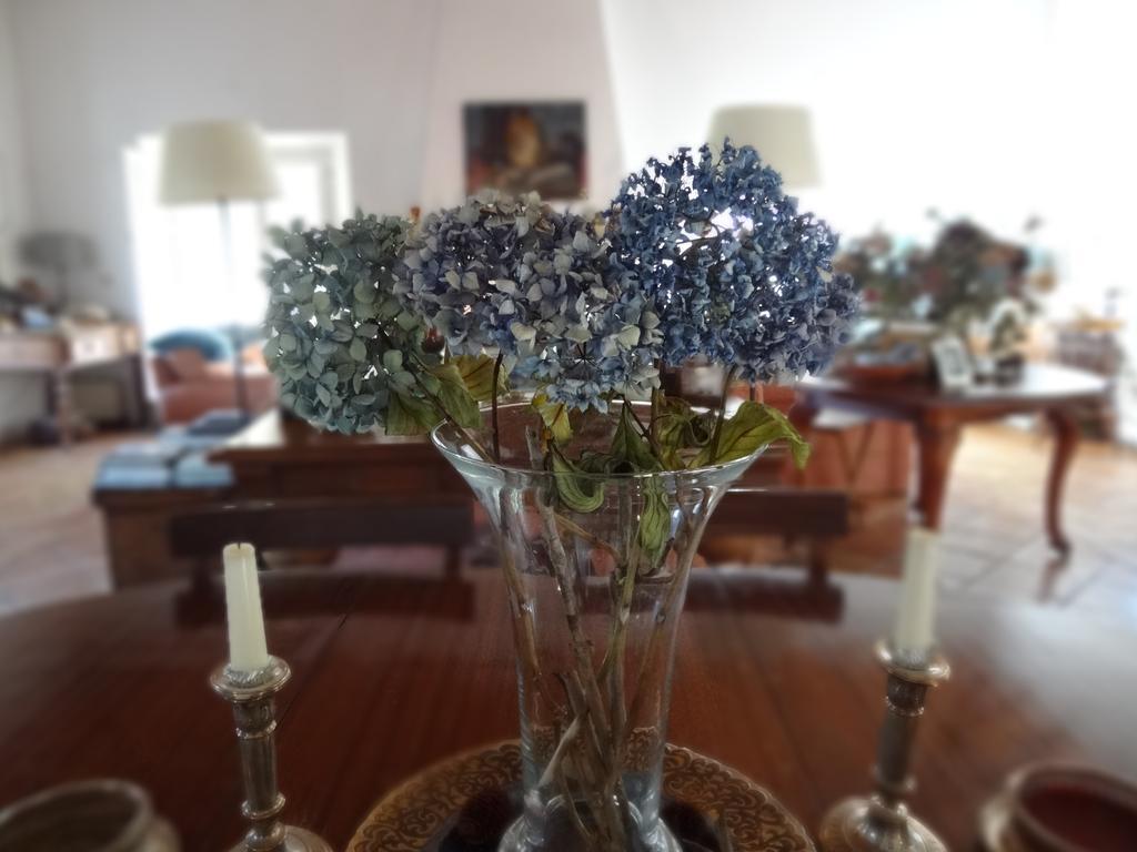 Monte Dos Papa Figos Hotel São Teotónio Екстериор снимка